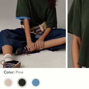 NWT The Goldie crew neck cashmere short sleeve sweater